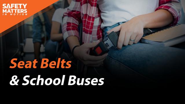 Seat Belts & School Buses